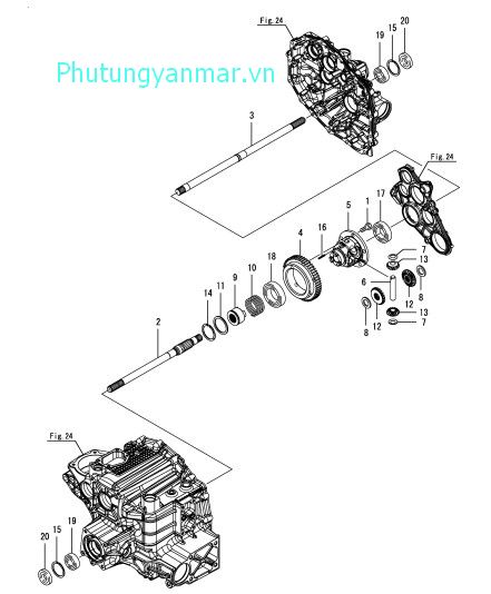 Truyền động vi sai trước